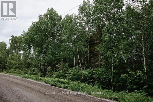 Fox Run - Year round Municipal Road - 447 Fox Run, Temagami, ON 