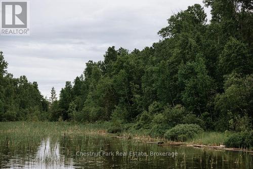 447 Fox Run, Temagami, ON 