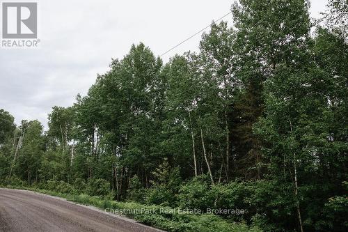 447 Fox Run, Temagami, ON 