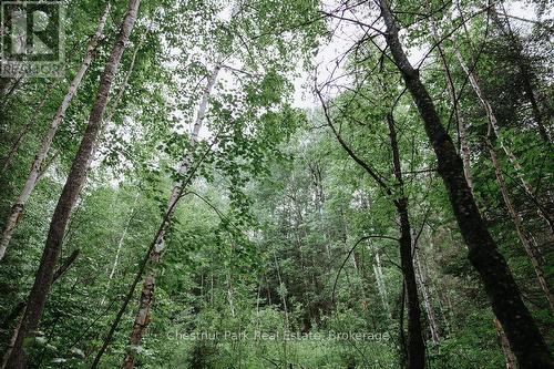447 Fox Run, Temagami, ON 