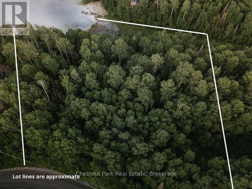 447 Fox Run, Temagami, ON 
