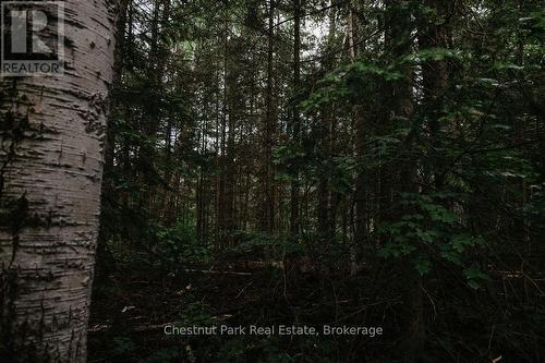 447 Fox Run, Temagami, ON 