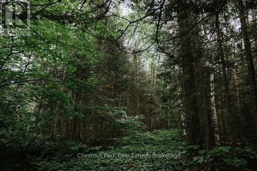 447 Fox Run, Temagami, ON 