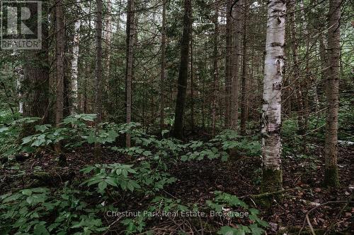 447 Fox Run, Temagami, ON 