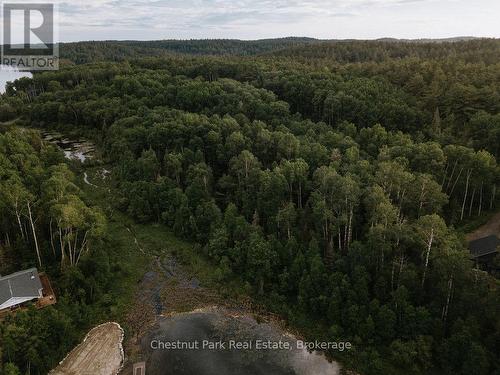447 Fox Run, Temagami, ON 