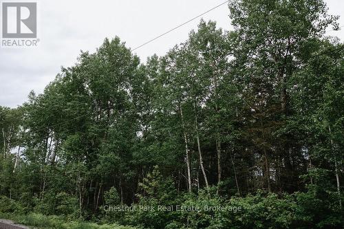 447 Fox Run, Temagami, ON 