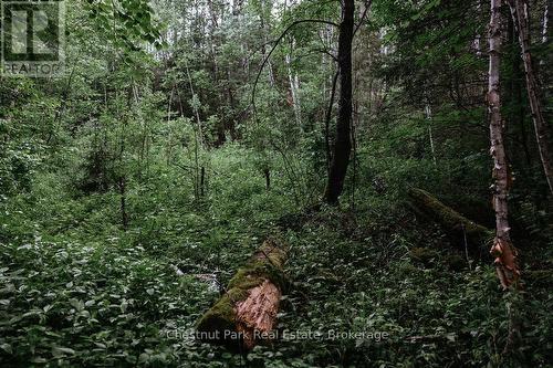 447 Fox Run, Temagami, ON 