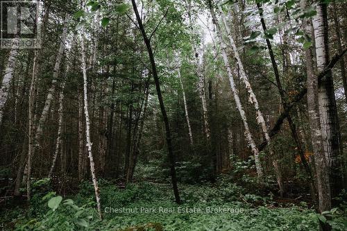 447 Fox Run, Temagami, ON 
