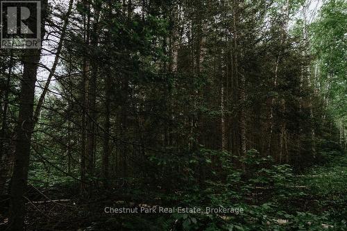447 Fox Run, Temagami, ON 