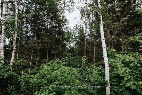 447 Fox Run, Temagami, ON 