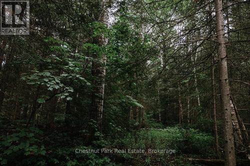 447 Fox Run, Temagami, ON 
