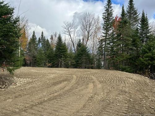 --- Long Lake Rd, Lorne, NB 