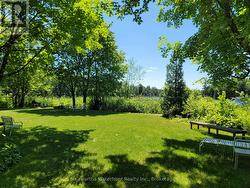 Waterside Lawn in Summer - 