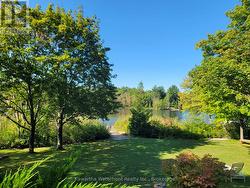 Waterside Lawn in Summer - 