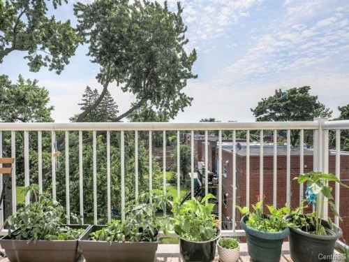 Balcony - 406-6840 Av. Fielding, Montréal (Côte-Des-Neiges/Notre-Dame-De-Grâce), QC 