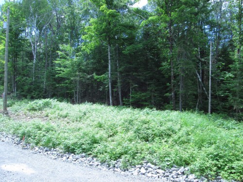 Terre/Terrain - Rue Des Passerins, Saint-Hippolyte, QC 
