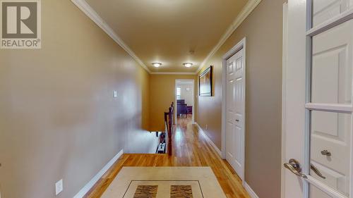37 Flower Hill, St. John'S, NL 