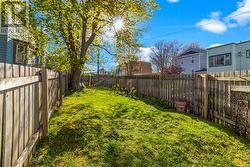 Backyard - 