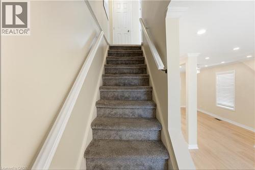 Carpeted staircase with white handrails leading to a paneled door - 309 Cope Street, Hamilton, ON - Indoor Photo Showing Other Room