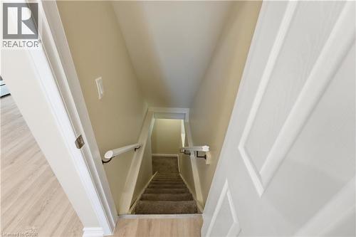 Stairwell featuring carpeted steps, white handrails, and neutral wall paint - 309 Cope Street, Hamilton, ON - Indoor Photo Showing Other Room