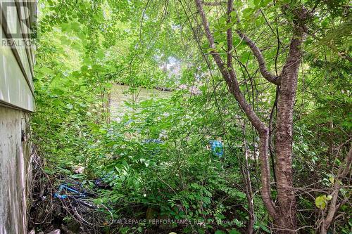 6 Ossington Avenue, Ottawa, ON 