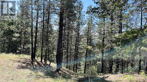 3901 Cottonwood Lane, Naramata, BC - Outdoor With View
