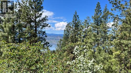 3901 Cottonwood Lane, Naramata, BC - Outdoor With View