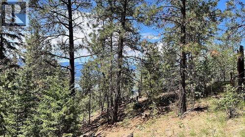 3901 Cottonwood Lane, Naramata, BC - Outdoor With View