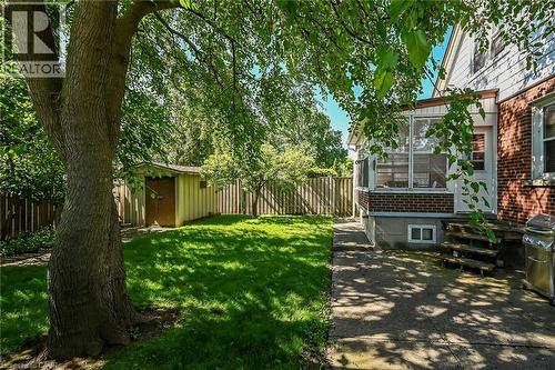 Expansive backyard featuring a manicured lawn, mature trees, and a privacy fence - 83 Aberfoyle Avenue, Hamilton, ON 