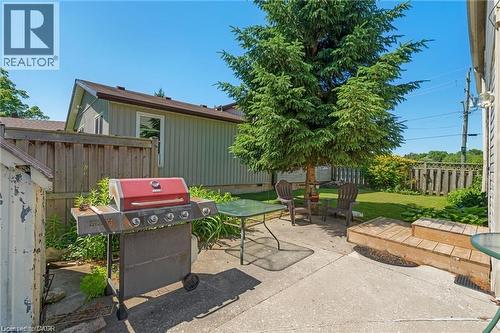 Concrete patio area with a mature evergreen tree, leading to a fenced grass yard - 2 Mill Street E, York, ON 