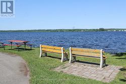 TOWN PARK - 