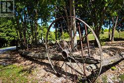 Nature trails - 