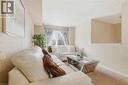 Carpeted living space featuring neutral wall tones and a large window - 