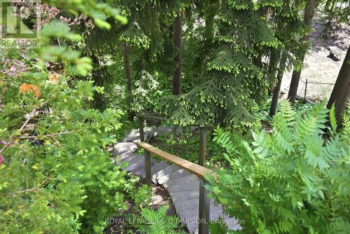 Stairs down to lower ravine - 41 Ridge Drive, Toronto, ON 