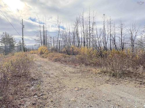 Shore Road, Roseway, NS 