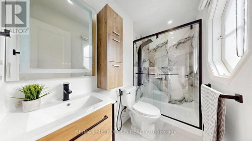 12 Romulus Drive, Toronto, ON 