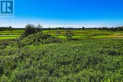 Walk to the Clubhouse - 