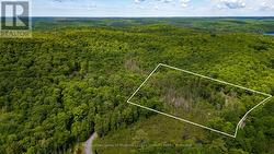 344 NORTH FOX LAKE ROAD Huntsville (Stisted), ON P1H 2J2