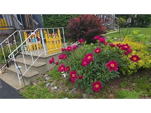 82 Nevers Rd, Lincoln, NB 