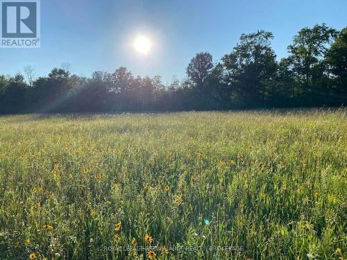 1462 County Road 8, Rideau Lakes, ON 