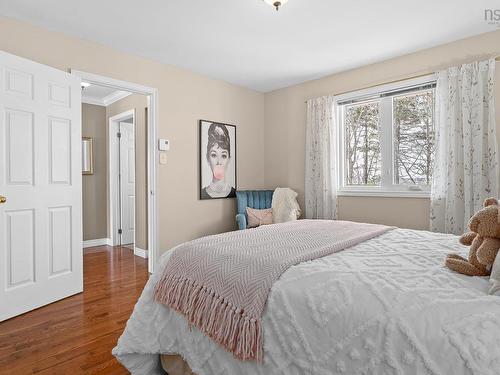 8 Capistrano Drive, Dartmouth, NS 