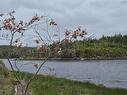 2618 Highway 7, Liscomb, NS 