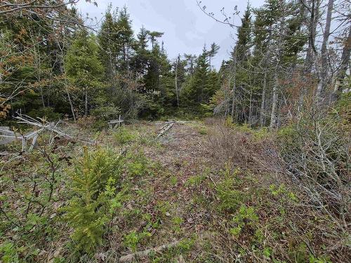 2618 Highway 7, Liscomb, NS 
