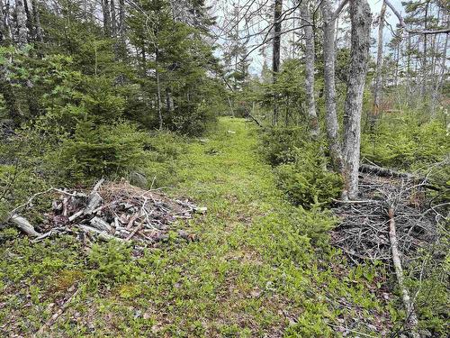 2618 Highway 7, Liscomb, NS 