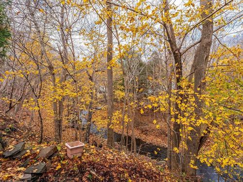 6953 Sissiboo Road, Bear River, NS 