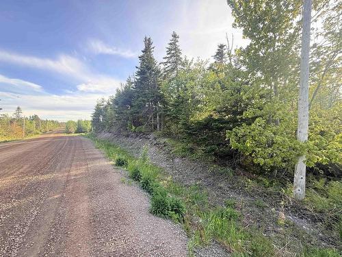 New Boston Road, Albert Bridge, NS 