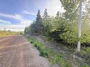 New Boston Road, Albert Bridge, NS 