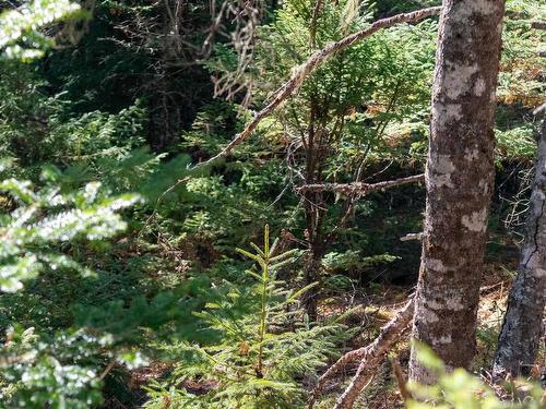 Br-1 Bowers Road, Lower Ohio, NS 