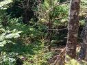 Br-1 Bowers Road, Lower Ohio, NS 