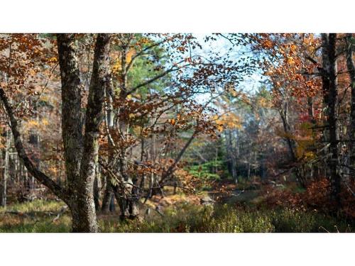 Br-3 Bowers Road, Lower Ohio, NS 